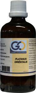 GO Platanus orientalis bio