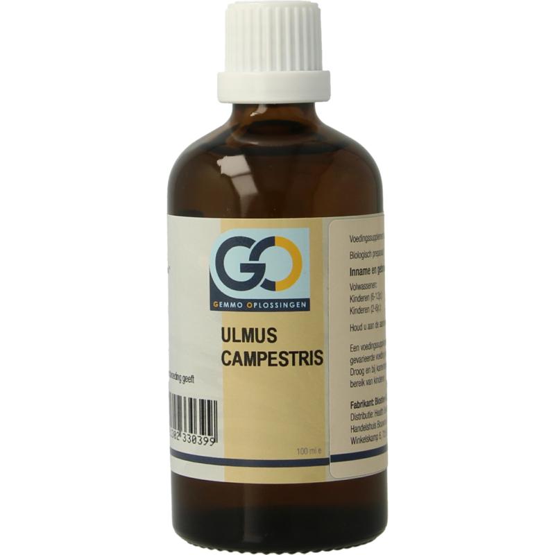 GO Ulmus Campestris bio
