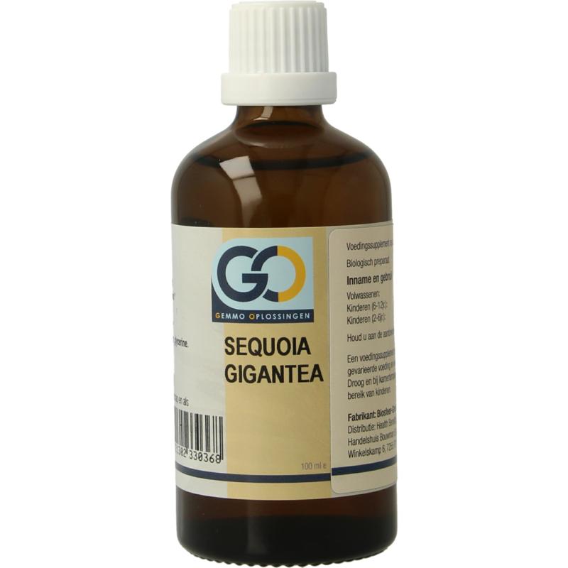 GO Sequoia gigantea bio