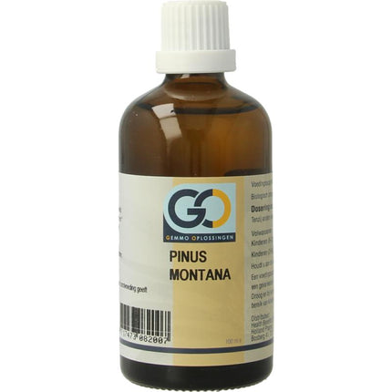 GO Pinus Montana bio