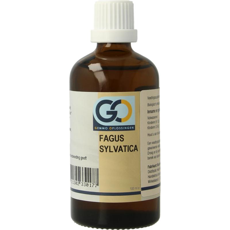 GO Fagus Sylvatica bio