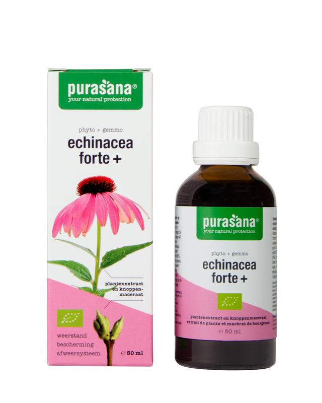Purasana Echinacea