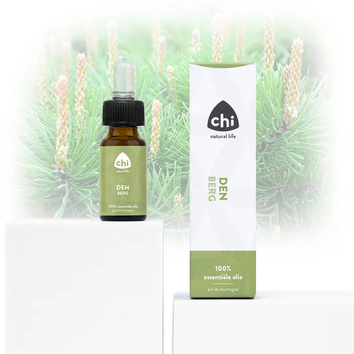 Chi Latschenkiefer Wild - 10ml