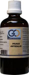 GO Prunus Amygdalus bio