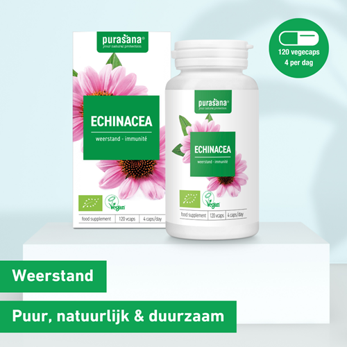 Purasana Echinacea
