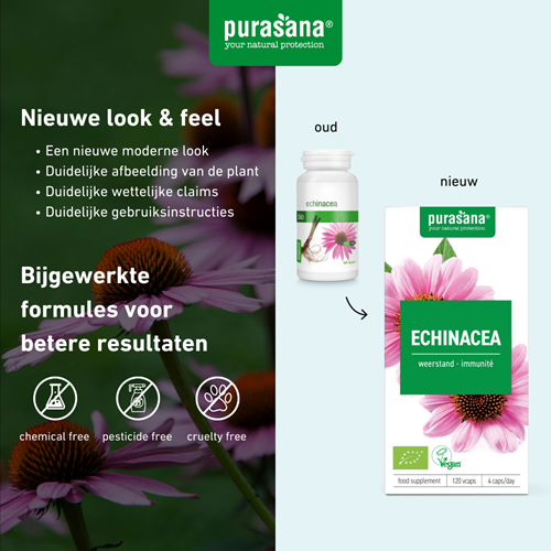 Purasana Echinacea