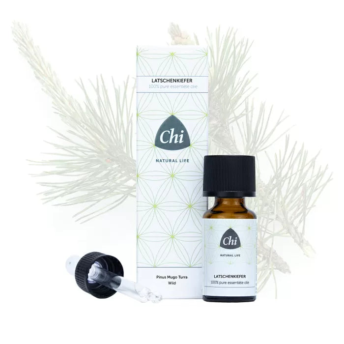 Chi Latschenkiefer Wild - 10ml