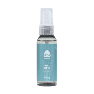 Chi Airspray Smell Well - 50ml