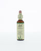 Bach Bloesem Remedie - 20ml