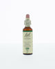 Bach Bloesem Remedie - 20ml