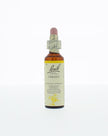 Bach Bloesem Remedie - 20ml