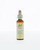 Bach Bloesem Remedie - 20ml