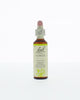 Bach Bloesem Remedie - 20ml