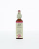 Bach Bloesem Remedie - 20ml