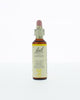 Bach Bloesem Remedie - 20ml