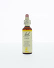 Bach Bloesem Remedie - 20ml