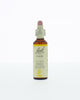 Bach Bloesem Remedie - 20ml