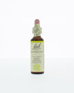 Bach Bloesem Remedie - 20ml