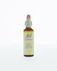 Bach Bloesem Remedie - 20ml