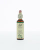 Bach Bloesem Remedie - 20ml