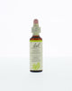 Bach Bloesem Remedie - 20ml