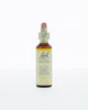 Bach Bloesem Remedie - 20ml